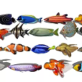Colorful Aquatic Animals With Diverse Types And Vibrant Patterns Including Clownfish Goldfish