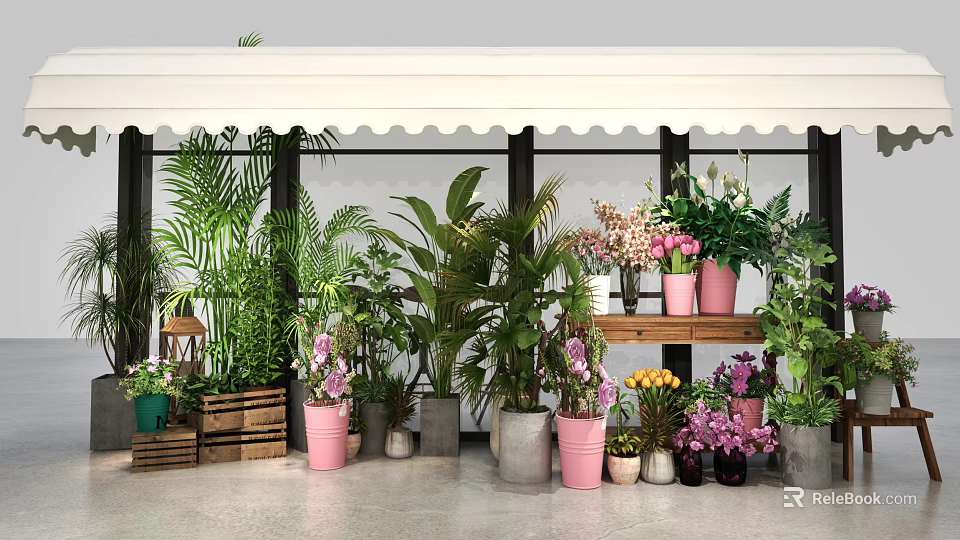 Bonsai and Potted Plants Display With Various Greenery Different Colored Pots And Wooden Shelf 3d model 