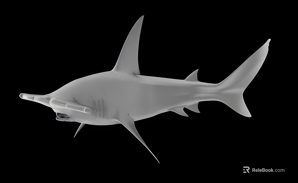 White Shark 3D Model Render on Black Background with Detailed Fin and Body Structure 3d model 