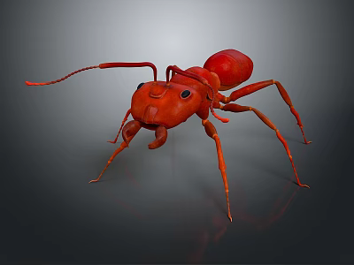 Detailed Red Ant 3D Model With Realistic Features And Long Antennae 3d model