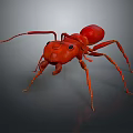 Detailed Red Ant 3D Model With Realistic Features And Long Antennae 3d model