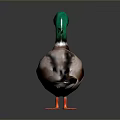 Colorful Duck With Green Head Yellow Beak And Orange Feet On Gray Background