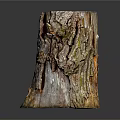 Natural Rustic Wooden Tree Stump With Surface Cracks And Stone Like Texture