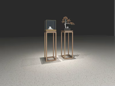 Stylish Golden Frame Side Tables For Display With Glass Case And Small Decorative Plant 3d model