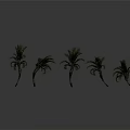 Multiple Green Palm Trees In Different Heights With Human Figure For Scale 3d model