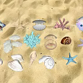 Beach Themed Decorative Ornament Set With Shells Starfish Coral And Sand