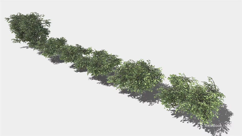 Row of Lush Green Bushes Neatly Arranged With Shadows On Light Background 3d model 