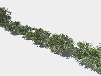 Row of Lush Green Bushes Neatly Arranged With Shadows On Light Background 3d model