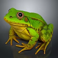 Realistic Green Yellow Spotted Frog With Large Eyes and Detailed Legs