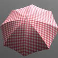 Red and White Checkered Umbrella with Classic Curved Handle Design
