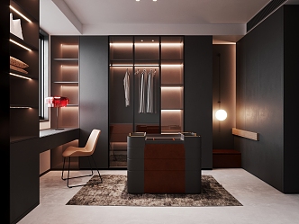 Modern Cloakroom Walk-in Cloakroom Wardrobe Dressing Room 3d model