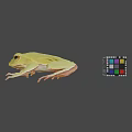 Green Frog With Extended Legs and Colorful Rubik's Cube in Gray Setting