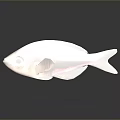 Vibrant Pink Striped Transparent Marine Fish With Gray Background And Reflection 3d model