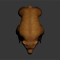 Brown Bear 3D Model With Fierce Expression Sharp Teeth And Claws