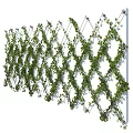 Decorative Lattice Trellis Fence Covered With Green Climbing Vines For Outdoor Garden