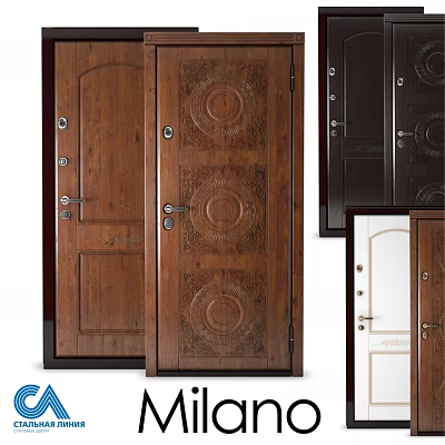 Swing Doors With Wooden Carved Patterns In Brown White Black For Interior Use 3d model