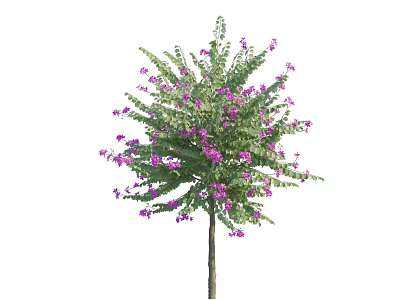 Lush Flowering Arbor with Green Leaves and Purple Blossoms in Full Bloom 3d model