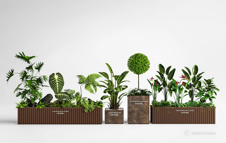 Decorative Leafy Green Plants Including Topiary Tree and Tropical Ferns in Wooden Planters 3d model 