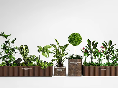 Decorative Leafy Green Plants Including Topiary Tree and Tropical Ferns in Wooden Planters 3d model