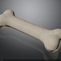 Pet Dog Chew Toy White Bone on Black Background with Reflection