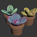 Colorful Succulent Plants in Terracotta Pots with Pink Tipped Petals