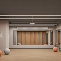 Modern Fitness Studio Interior With Mirrors Barres Exercise Balls And Wooden Floors