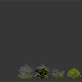 Diverse Plants with Green Leaves Various Shaped Shrubs and Pink Red Flowers on Dark Background