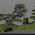 Japanese Courtyard Garden with Shaped Pine Tree Green Shrubs and Stone Lantern on Gravel Ground