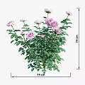 Charming Garden Ornament Featuring Pink Roses and Lush Green Leaves