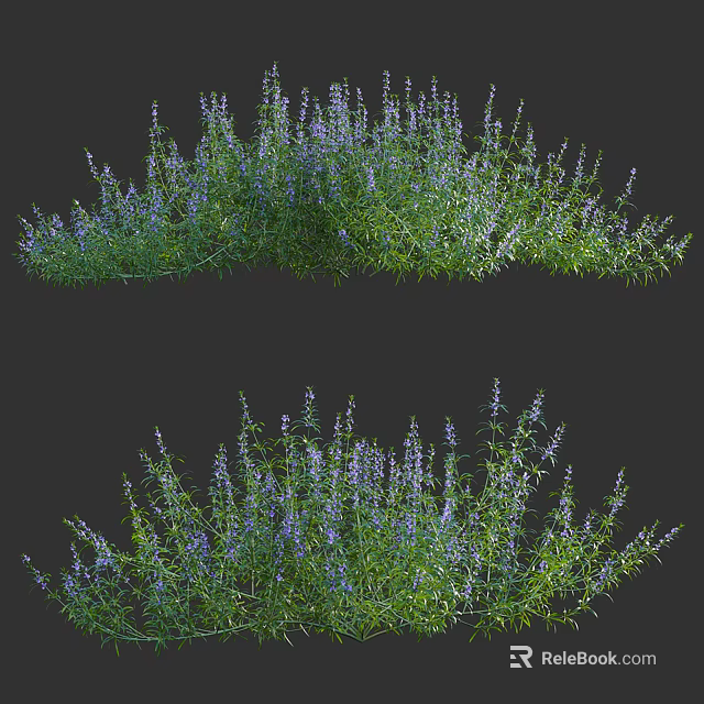 Lush Flowering Shrubs with Vibrant Purple Flowers and Green Leaves in Garden 3d model 