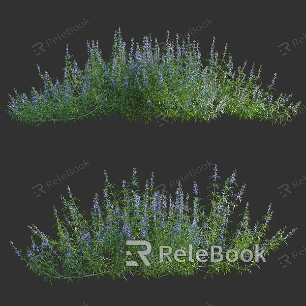 Rosemary bushes model