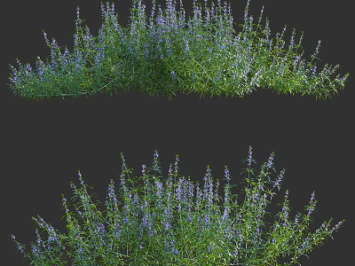 Lush Flowering Shrubs with Vibrant Purple Flowers and Green Leaves in Garden 3d model
