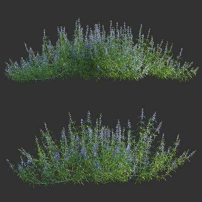 Lush Flowering Shrubs with Vibrant Purple Flowers and Green Leaves in Garden 3d model