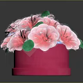 Decorative Potted Plants With Pink Flowers Purple Blue Small Blooms Green Leaves In Pink Pots