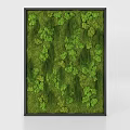 Living Plant Wall In Modern Interior Space With Lush Green Foliage Decorative Design