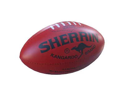 Modern Rugby 3d model