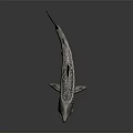 3D Shark Model With Open Mouth Sharp Teeth Spotted Pattern On Dark Reflective Background 3d model