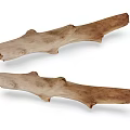 Natural Wooden Branches with Rustic Organic Shape and Textured Surface Design 3d model