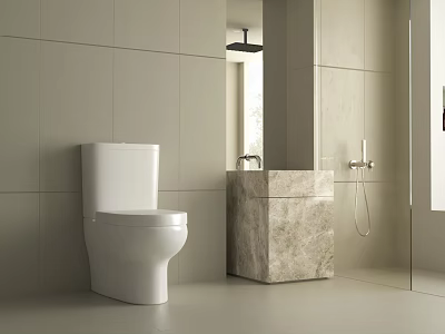 Modern Bathroom Interior Design With Gray Tile Walls White Toilet And Marble Vanity 3d model