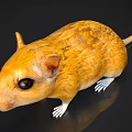 Yellow Reptile with Mouse Like Appearance Large Black Eyes and White Claws on Black Background