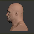 Realistic Bald Male Head Bust With Beard On Black Reflective Surface 3d model