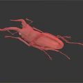 Stag Beetle With Red And Dark Shell And Long Antlers On Dark Background