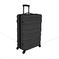 Sleek Modern Silver Hard Shell Suitcases With Telescopic Handles And Rolling Wheels
