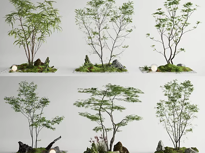 Indoor Natural Landscape Decor With Miniature Trees Stone And Moss Arrangement 3d model
