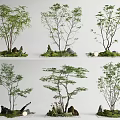 Indoor Natural Landscape Decor With Miniature Trees Stone And Moss Arrangement
