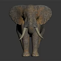 Gray Elephant With Curled Trunk White Tusks Red Eyes And Detailed Skin Texture