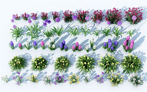 Modern flowers and plants 3d model