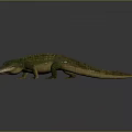 Realistic Green And Yellow Crocodile 3D Model With Detailed Texture On Dark Background