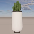 Garden Landscape With Decorative Cactus Plant In White Ceramic Pot