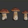Three Fresh Red Brown Cap Mushrooms With White Stems And Glossy Surface
